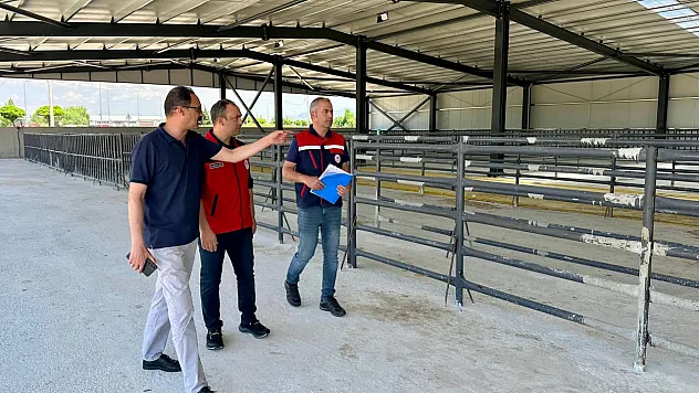 Hayvan Pazarı Hizmete Açılacak