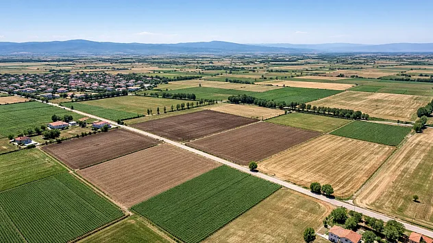 Hazine Düğmeye Bastı: Sinanpaşa'da Taşınmazlar İhaleye Çıkıyor