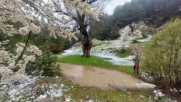 Hem Sevindirdi Hem Şaşırttı