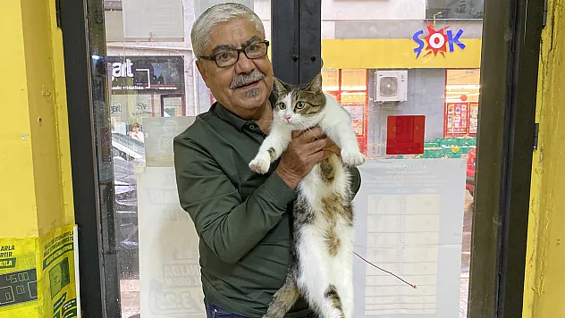 İki Defa Terk Edilen Kediye İşletmeci Sahip Çıktı