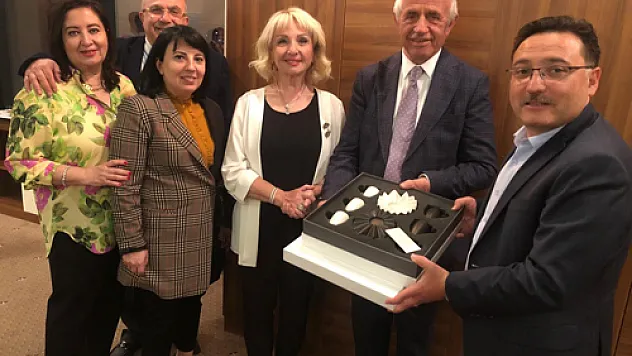 İş ve sağlık camiasından Vali Çiçek'e veda