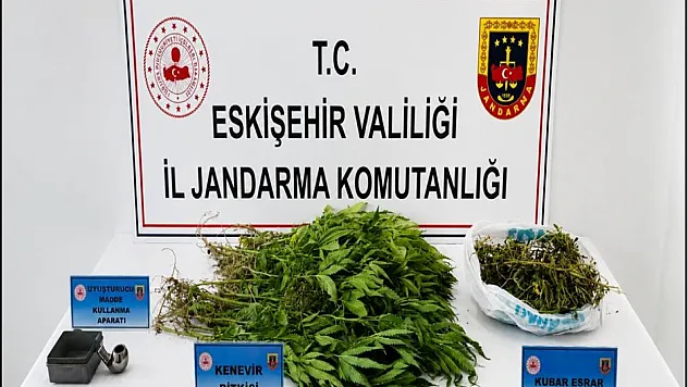 Jandarma Bastı! Evden Kenevir ve Esrar Çıktı
