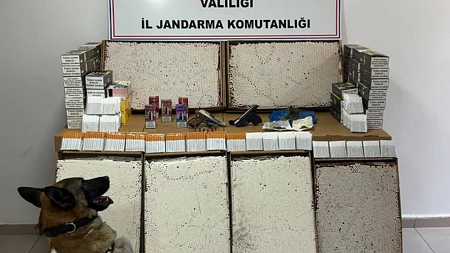 Jandarma Kaçakçılığa Geçit Vermedi