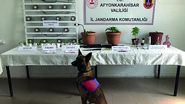 Jandarma uyuşturucu imalatçılarını adım adım takip ederek kıskıvrak yakaladı