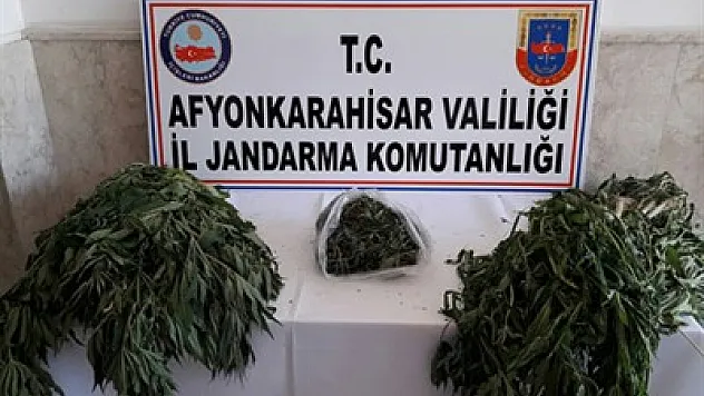 Jandarma yine yakaladı – Kocatepe Gazetesi