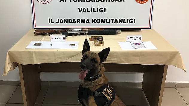 Jandarma Zehire Geçit Vermedi