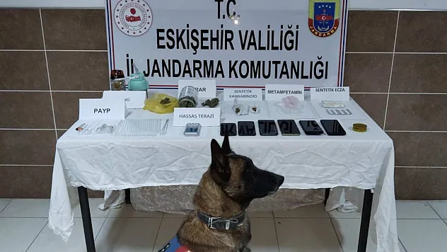 Jandarmadan 2 İlçede Uyuşturucu Operasyonu