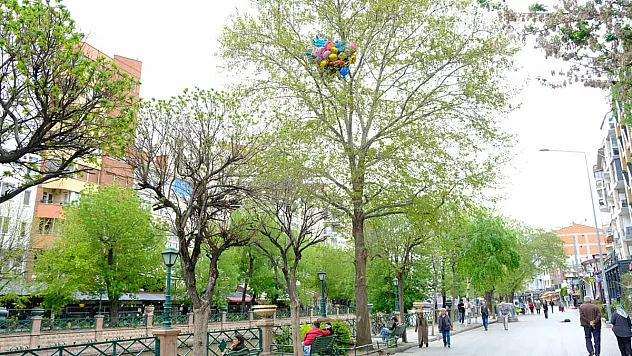 Kaçırdığı Uçan Balonlar Ağaca Takılı Kaldı