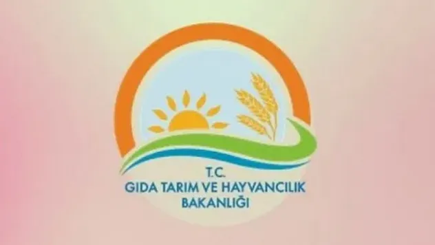 Kadın çiftçiler önce oynadı, sonra yarıştı
