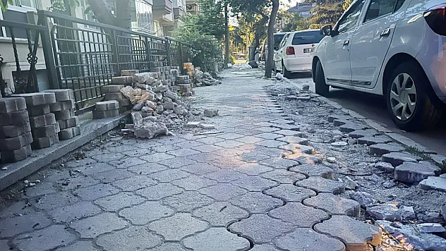 Kaldırım Mı, Survivor Mı?
