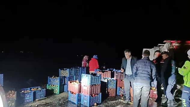 Kamyonet Devrildi, Tonlarca Elma Yola Saçıldı