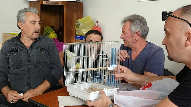 Kanaryalar Satışa Çıktı