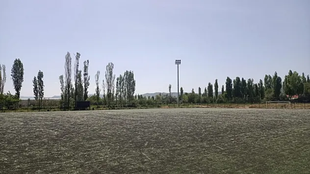 Kavak ağacı poleni maç erteletti