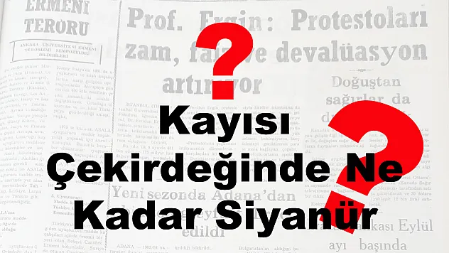 Kayısı Çekirdeğinde Ne Kadar Siyanür Var?