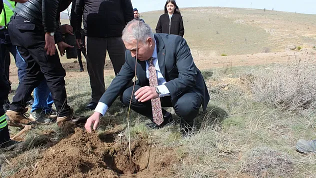 Kaymakam Duru'dan Doğaya Destek