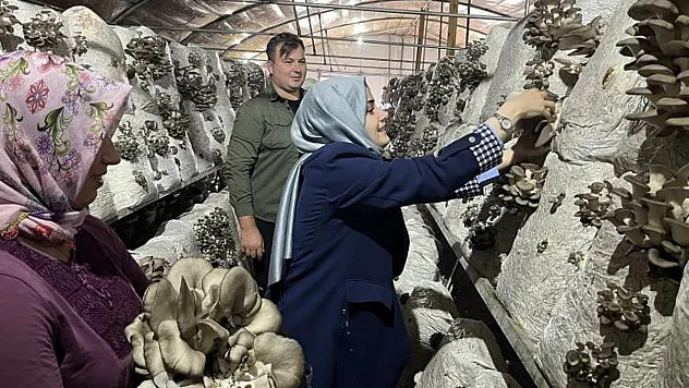 Kaymakam Kılıç: 'Yerel Üretimi Her Zaman Destekliyoruz'