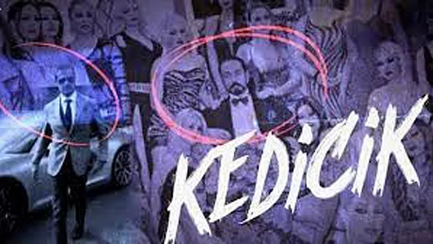 Kedicik Meselesi Nedir?