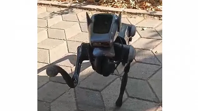 Kent Merkezindeki Robot Köpek Görenleri Hayrete Düşürdü