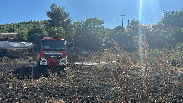 Kıvılcım Yangına Dönüştü: Sera ve Depo Zarar Gördü