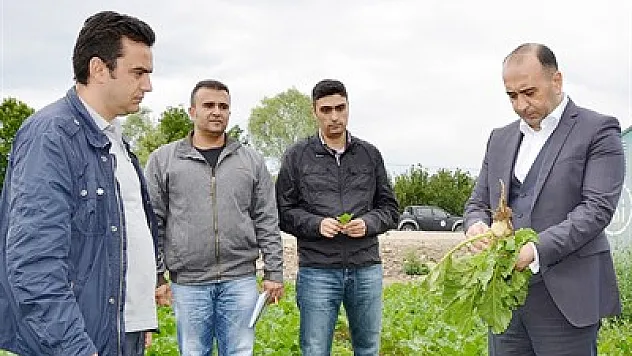 Koruyucu ilaçlama yapmayı unutmayın – Kocatepe Gazetesi