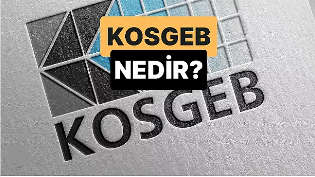 KOSGEB Nedir ?