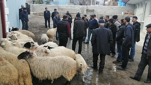 Köylüler 20 koyunu açık arttırmayla satıp, depremzedelere bağışladı