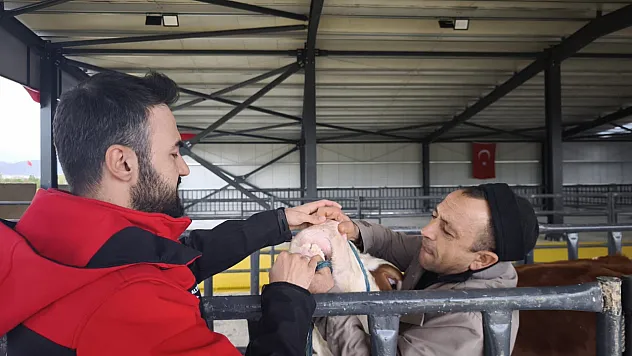 Kurbanlık Denetimleri Sürüyor
