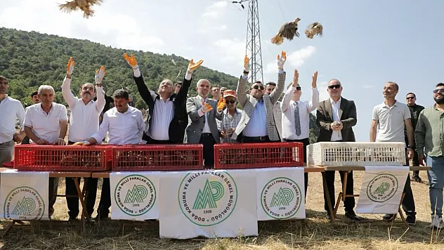 Kütahya'da 300 Keklik Doğaya Salındı