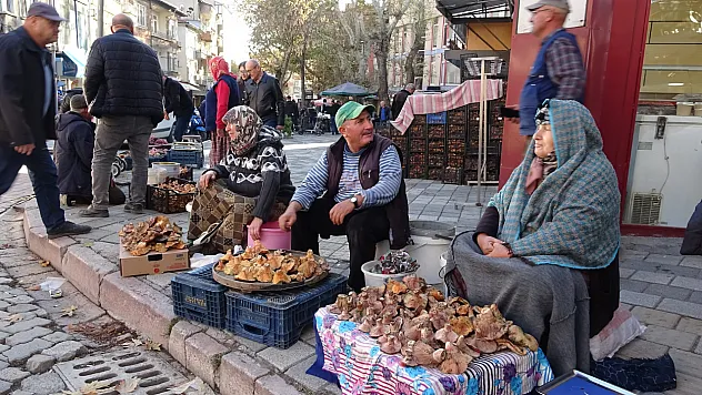 Kütahya'da Melki Mantarı Çoğaldı, Fiyatlar Düştü