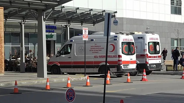 Kütahya'da Sahipsiz Köpeklerin Saldırısında Anne ve Kızı Yaralandı