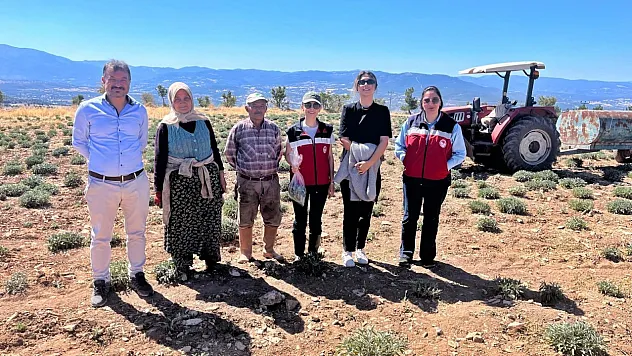 Kütahya'da Ürünlerin Organik Geçiş Sertifikasyon İşlemleri İçin Parsel Kontrolleri Ve Numune Alımları