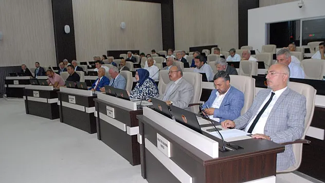 'Madem meclis üyelerinin hakkı yok, Genel Sekreter tek başına yönetsin!'