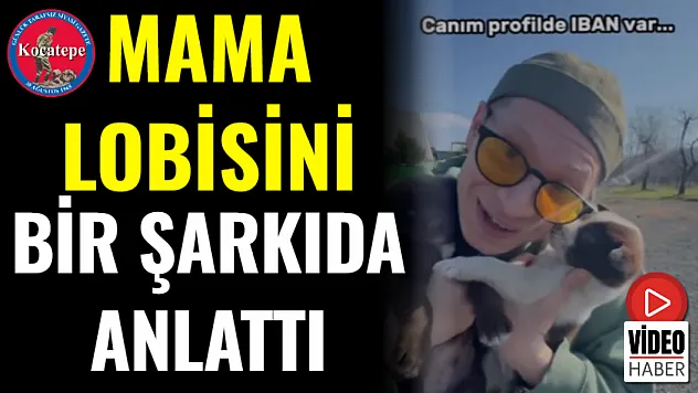 Mama Lobisini Bir Şarkıda Anlattı