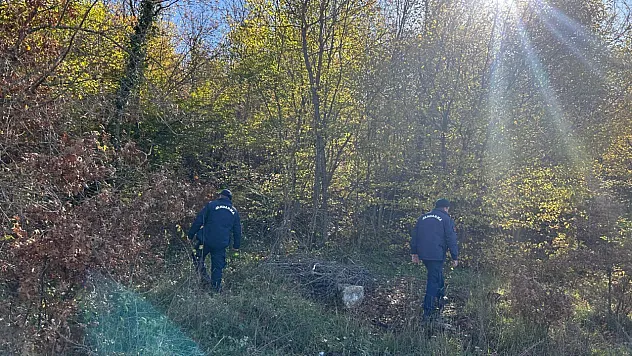 Mantar Toplamak İçin Gittiği Ormanlık Alanda Kaybolan Adamı 96 Kişilik Ekip Arıyor