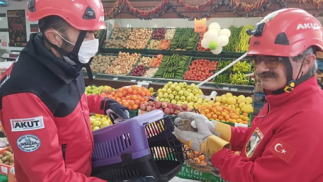 Markete giren atmacayı AKUT ekibi yakaladı