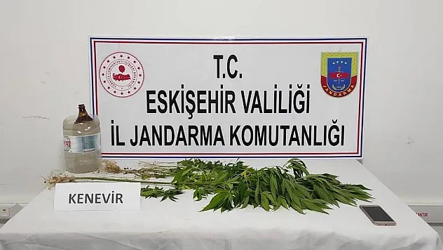 Mezarlığa kenevir eken şahıs yakayı ele verdi