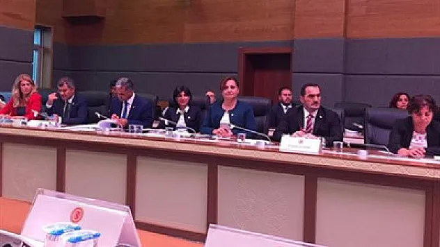 'Milletin vekilinin sesini kısmak milli iradeye en büyük saygısızlıktır'