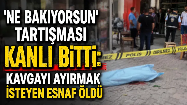 'Ne Bakıyorsun' Tartışması Kanlı Bitti: Kavgayı Ayırmak İsteyen Esnaf Öldü