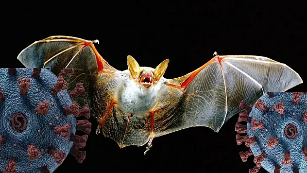 Nipah Virüsü Nedir? Nipah Virüsü Belirtileri Neler?