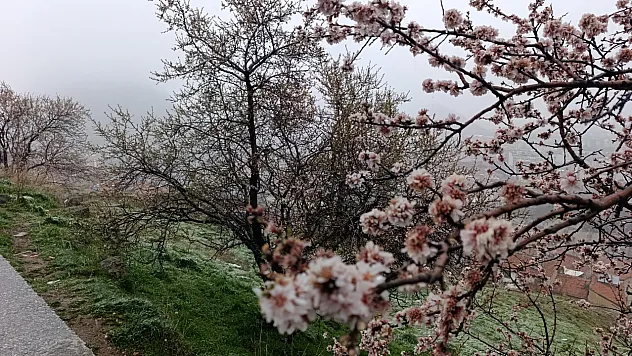 Nisan Ayında Afyonkarahisar'a Kar Sürprizi