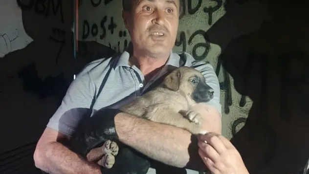 OEDAŞ trafoda mahsur kalan yavru köpeğe duyarsız kalmadı