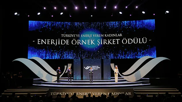 OEDAŞ'a 'Enerjide Örnek Şirket' ödülü