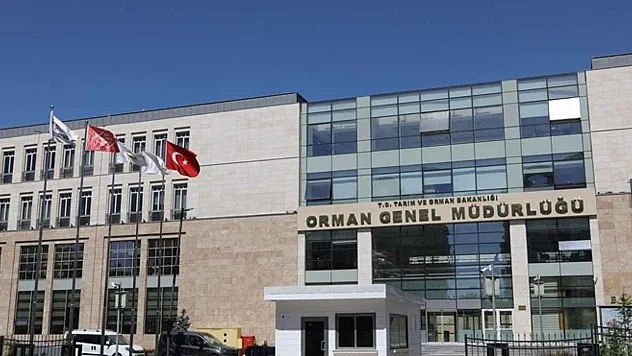 Orman Genel Müdürlüğü'ne 69 İşçi Alacak
