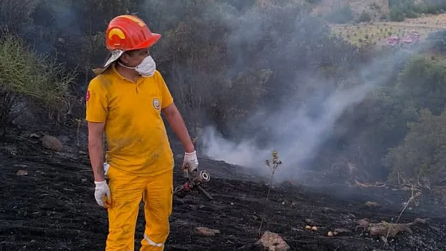 Orman Kahramanları Milas'ta