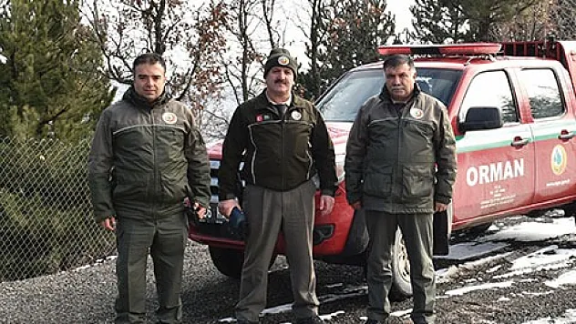 Orman Muhafaza Memuru Ne İş Yapar?