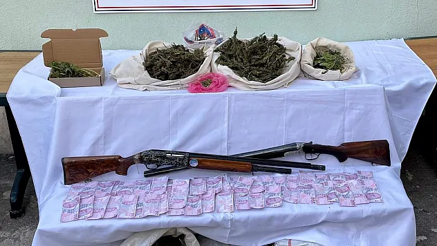 Ormanı uyuşturucu tarlasına çevirmişler