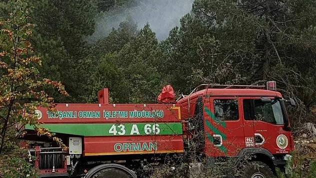 Ormanlık Alana Düşen Yıldırım Yangına Neden Oldu