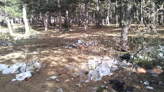 Ormanlık piknik alanı çöpten geçilmiyor