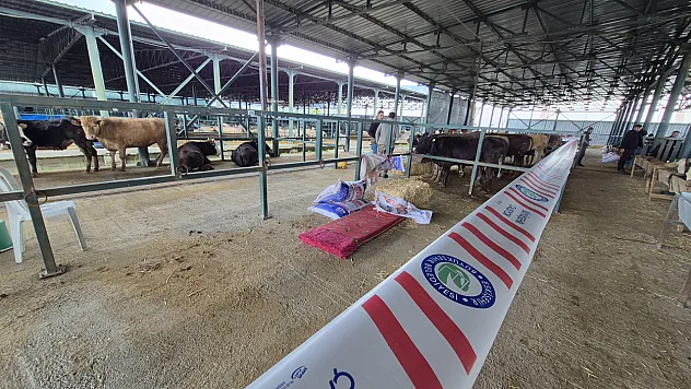 Parasını Ödedikleri Kurban Pazarında Rezaleti Yaşıyorlar