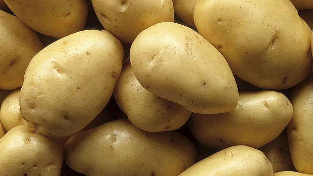 Patates hasadında hedef 1 milyar TL